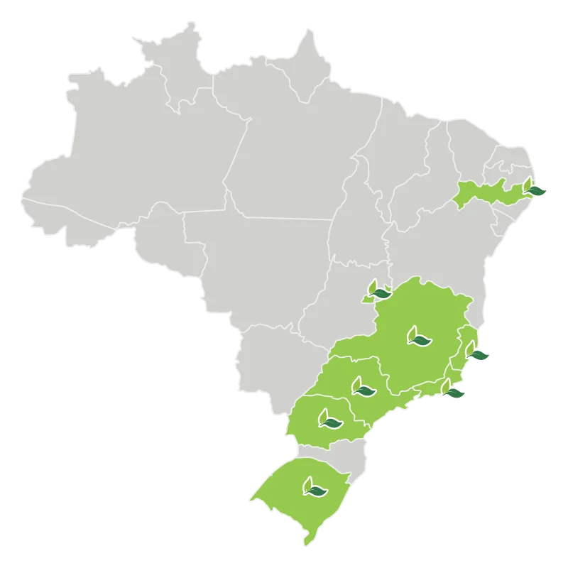Mapa de presença da MedSênior no Brasil